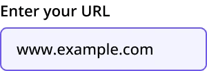 URL Field